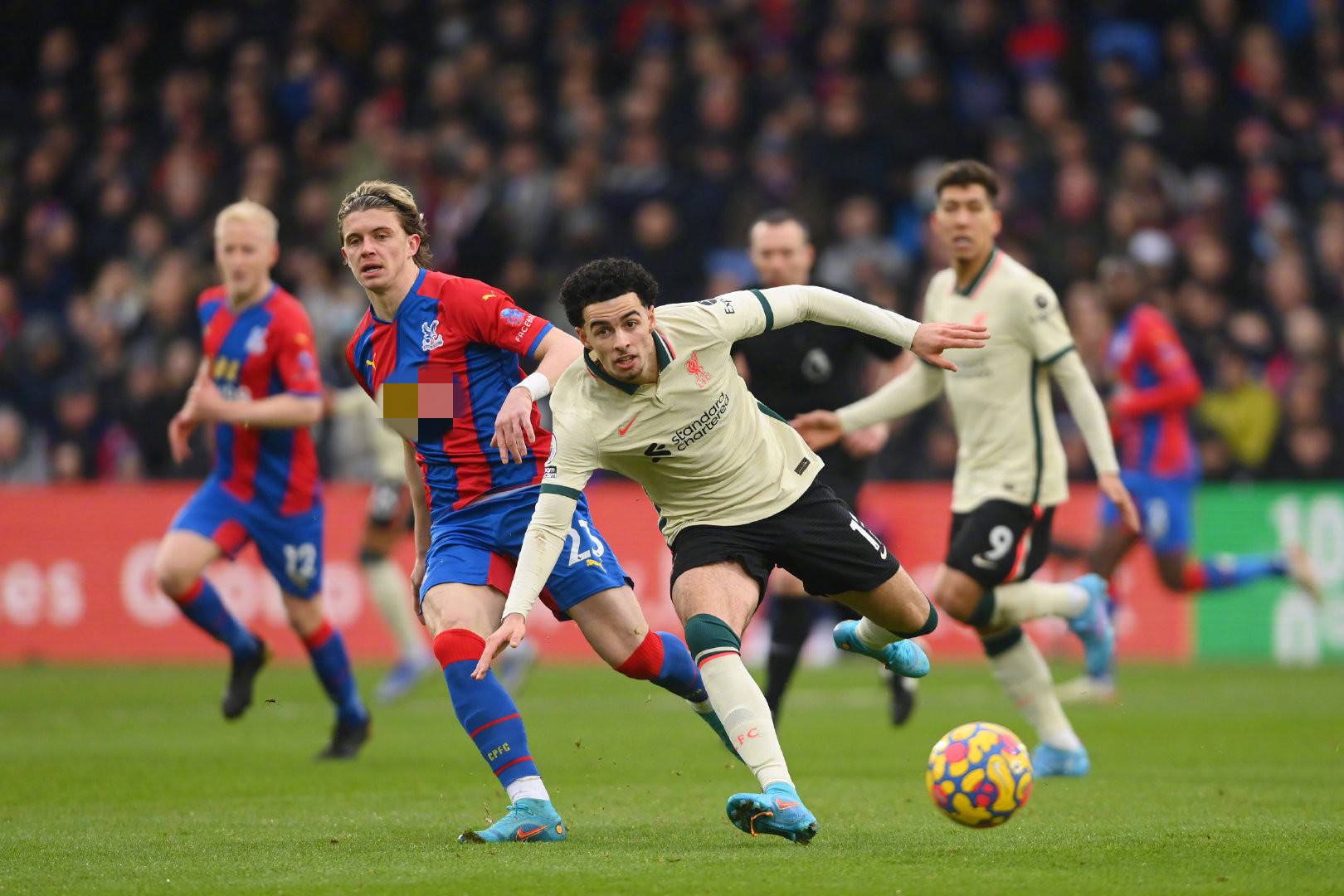 与中国本土 与中国本土